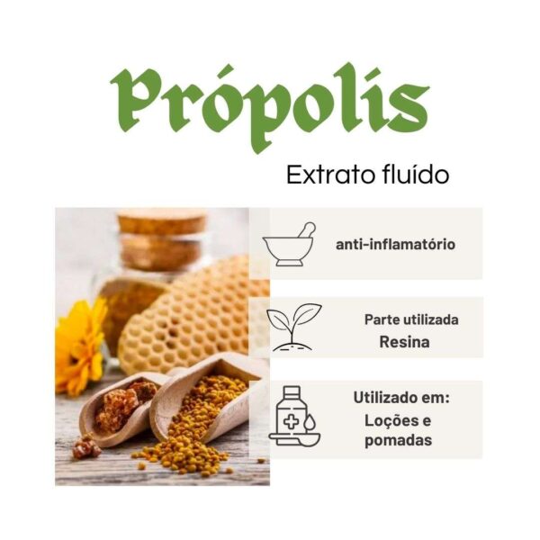 PRÓPOLIS EXTRATO FLUÍDO - LT - Imagem 2