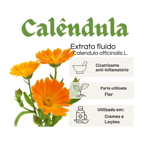 EXTRATO FLUÍDO CALÊNDULA - LT - Imagem 2