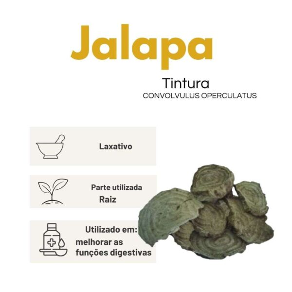 TINTURA JALAPA - LT - Imagem 2