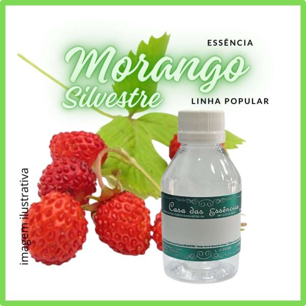 ESSÊNCIA MORANGO SILVESTRE - 100ML
