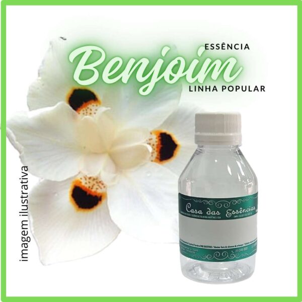 ESSÊNCIA DE BENJOIM - 100ML