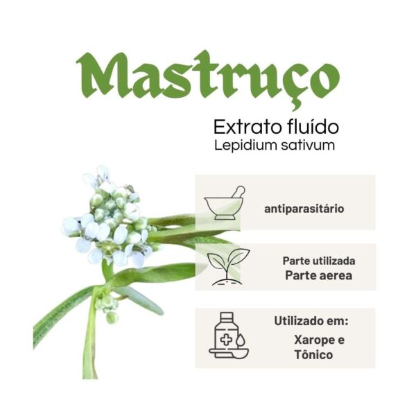 EXTRATO FLUÍDO MASTRUÇO - LT - Imagem 2