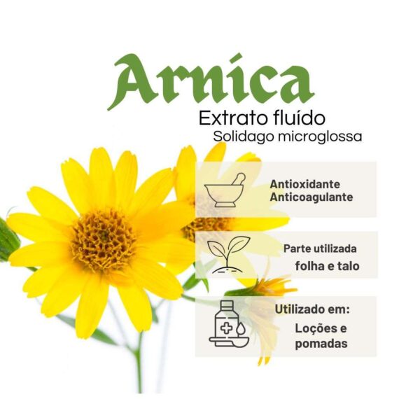 EXTRATO FLUIDO ARNICA - LT - Imagem 2