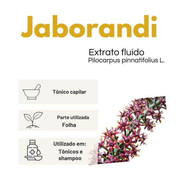 TINTURA JABORANDI - LT - Imagem 2