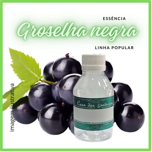 ESSÊNCIA GROSELHA NEGRA - 100ML