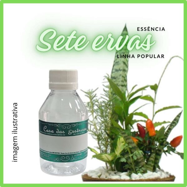 ESSÊNCIA SETE ERVAS - 100ML
