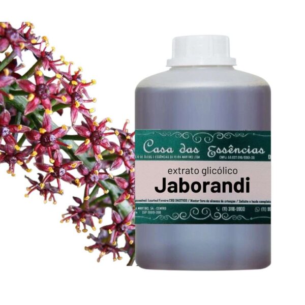 Jaborandi Extrato Glicólico - 01lt