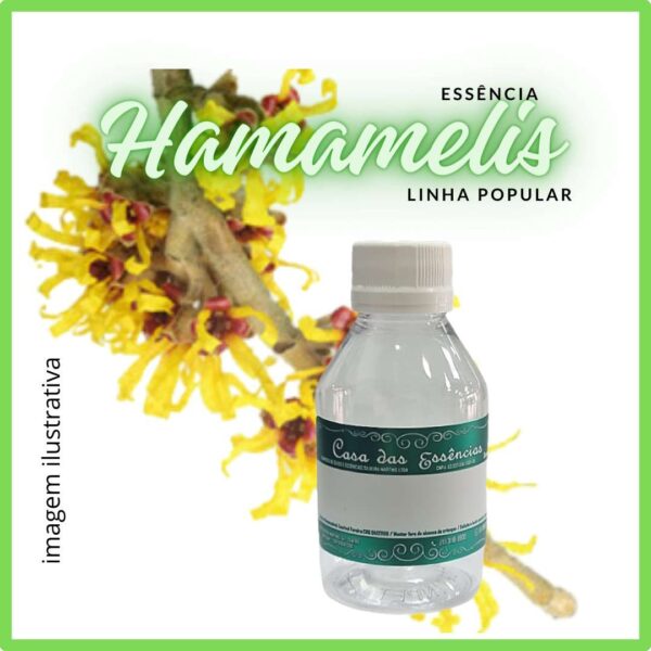 ESSÊNCIA HAMAMELIS - 100ML