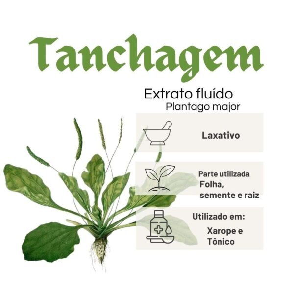 EXTRATO FLUÍDO TANCHAGEM - LT - Imagem 2