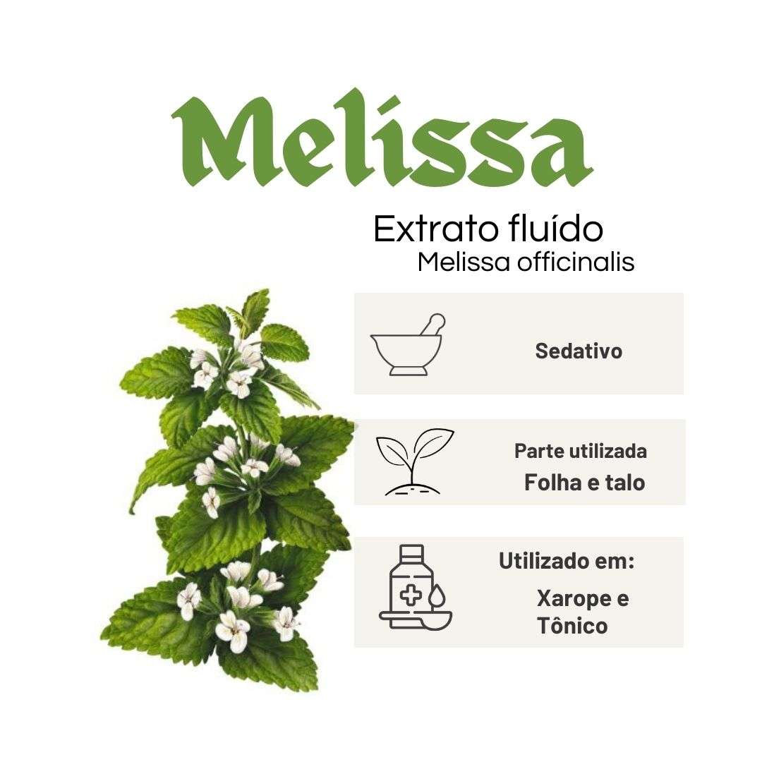 EXTRATO FLUÍDO MELISSA - LT - Imagem 2