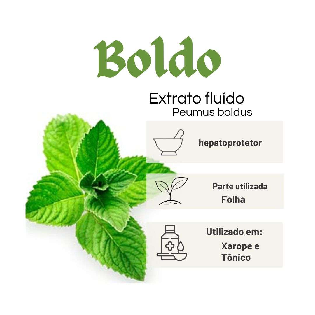 EXTRATO FLUÍDO BOLDO - LT - Imagem 2