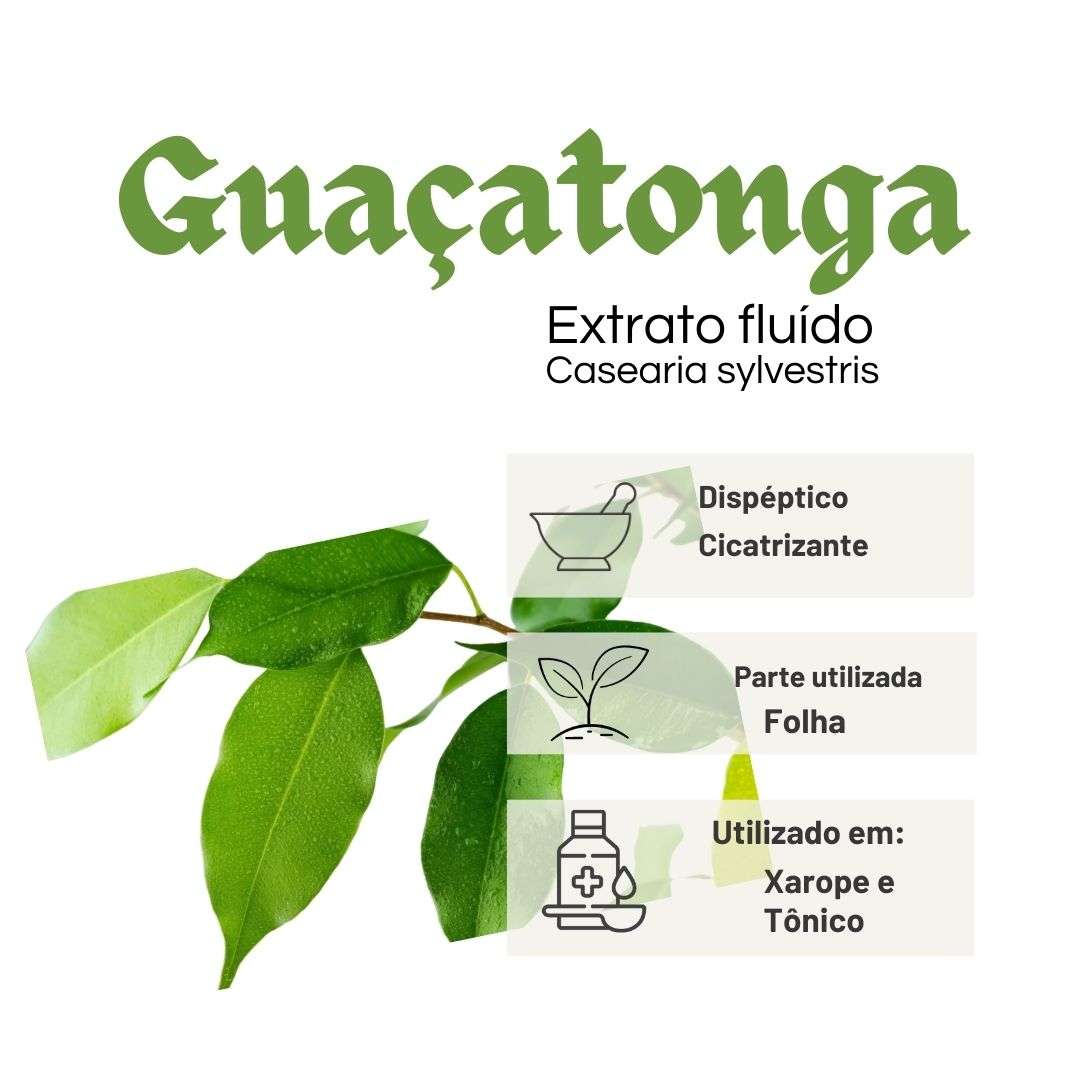 EXTRATO FLUÍDO GUAÇATONGA - LT - Imagem 2