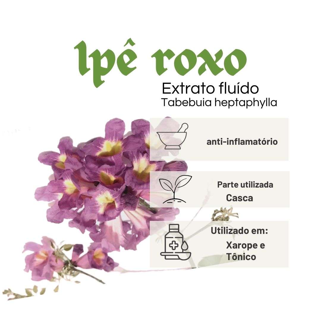 EXTRATO FLUÍDO IPÊ ROXO - LT - Imagem 2